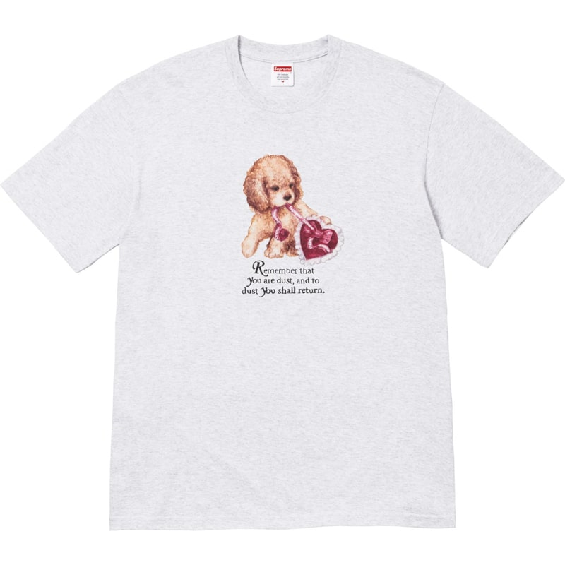 Supreme(シュプリーム) 2025FW Week17 Dust Tee